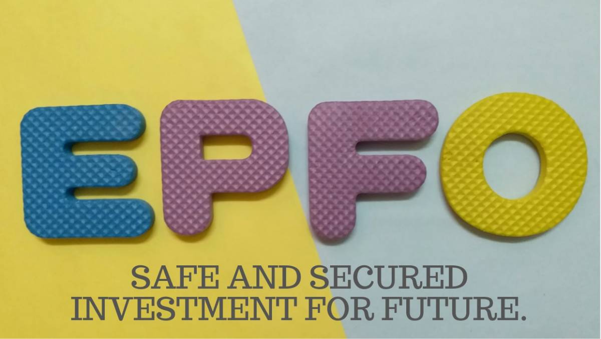 Savings: Step by Step Login Your Epfo Account and Check Pf Balance